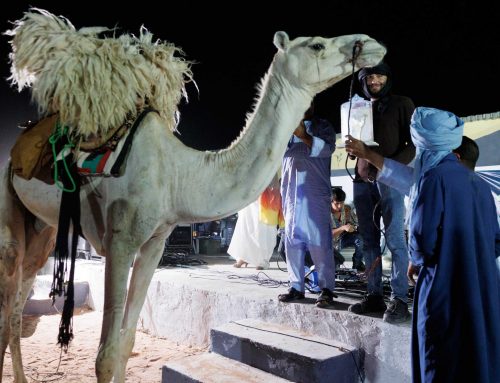 FiSahara 2024 embraces Palestine and awards the film ‘200 meters’ with the White Camel